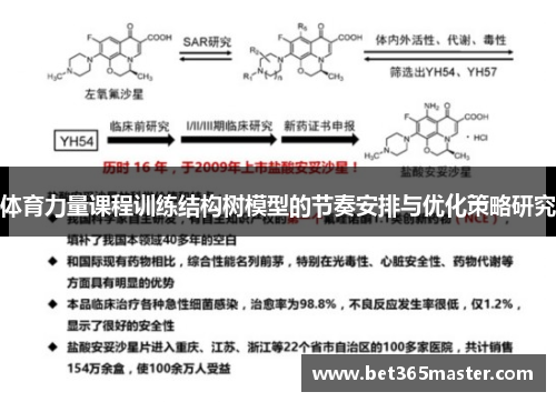 体育力量课程训练结构树模型的节奏安排与优化策略研究
